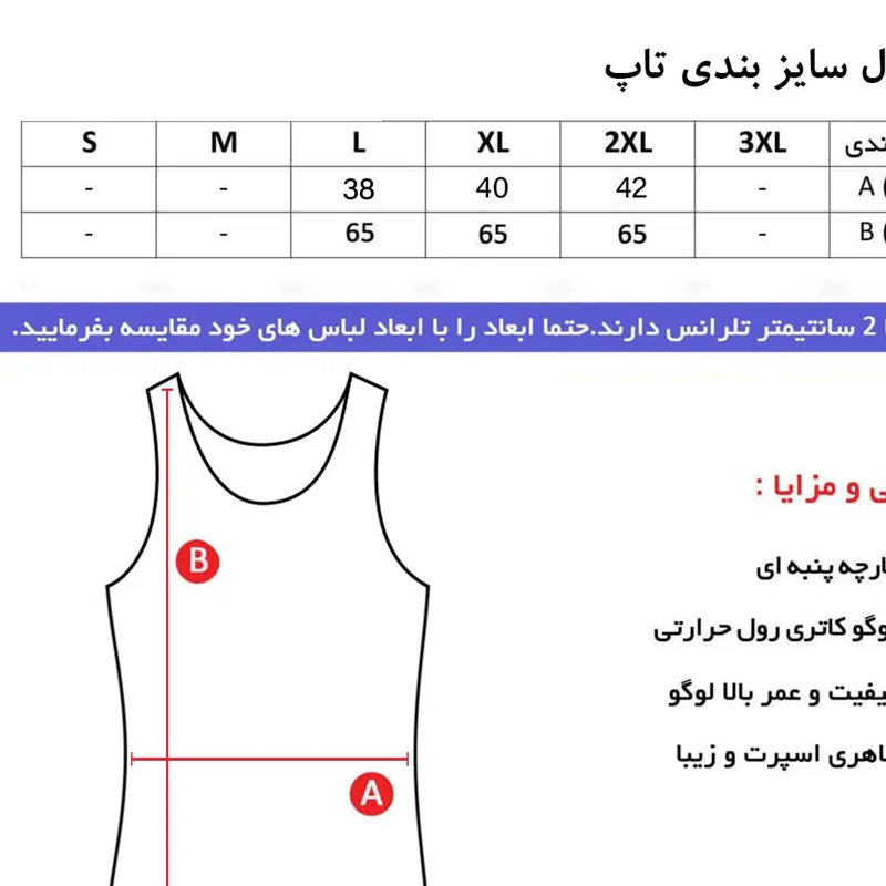 تاپ ورزشی زنانه طرح جوردن فلامنت رنگ کله غازی با کاپ جداگانه